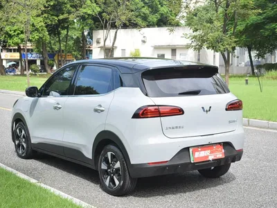 2024 Wuling Motors Wuling Binguo PLUS Model 330km 5-Seater, фото 4, лот 10836403