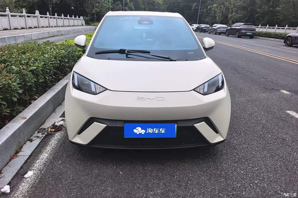 2023 BYD Seagull Flying Edition, фото 2, лот 11205348