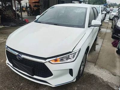 2020 BYD e2 Upgrade Standard Range Standard Model, фото 2, лот 10258964