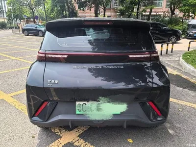 2024 BYD Seagull Glory Edition 305km Freedom Edition, фото 3, лот 10257499