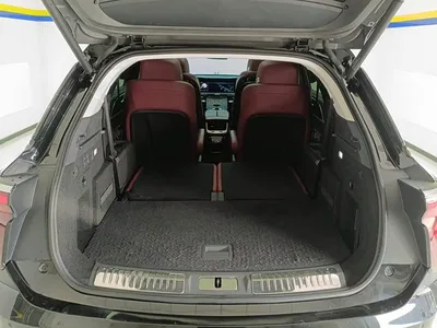 2021 Hongqi E-HS9 460km Flagship Comfort 6-seater, фото 4, лот 10287407