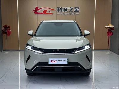 2025 BYD Yuan UP Smart Drive Edition 401KM Leading Type, фото 2, лот 10275092