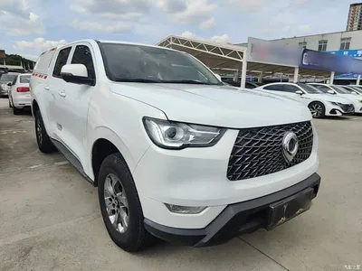 2021 Great Wall Pao 2.0T Commercial Edition Automatic Diesel 4WD Navigation Standard Box GW4D20M, фото 4, лот 10248892