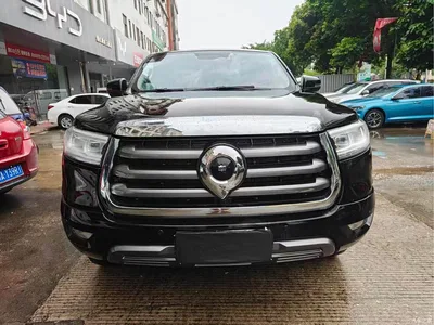 2021 Great Wall Pao 2.0T Passenger Global Edition Automatic Diesel 2WD Comfort Standard Box GW4D20M, фото 1, лот 10364241