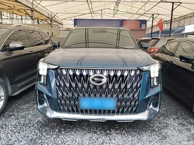 2022 GAC Trumpchi Trumpchi GS8 Dual Engine Series 2.0TM 4WD Premium Edition (6-Seater), фото 3, лот 10421842