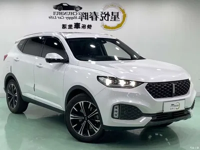2020 WEY VV6 2.0T 2WD Smart Enjoy+, фото 3, лот 10451820