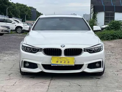 2017 BMW 4 Series 425i Gran Coupe Leading M Sport Package, фото 3, лот 10396852
