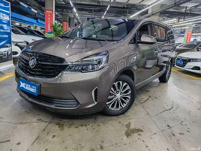 2022 Buick GL8 Land Business Class 652T Luxury, фото 1, лот 10250098