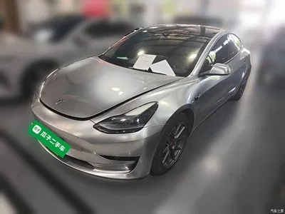 2021 Tesla Model 3 Standard Range Rear-Wheel Drive Upgrade, фото 1, лот 10370780