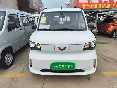 2025 Wuling Motors Wuling Zhiguang NEV Model 305km Base Version, фото 3, лот 10836060