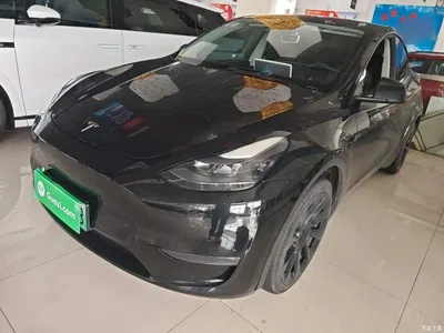 2021 Tesla Model Y Model Long Range AWD, фото 2, лот 11204442