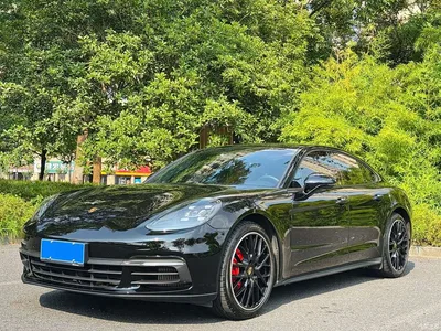 2021 Porsche Panamera Model Panamera 2.9T, фото 1, лот 10445940