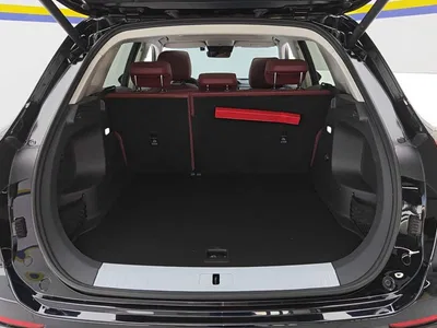 2023 Hongqi HS5 2.0T AWD Flag Enjoy Pro Edition, фото 4, лот 11436916