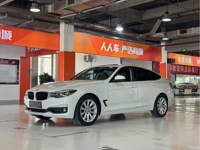 2019 BMW 3 Series GT 320i Fashion Model, фото 1, лот 10473325