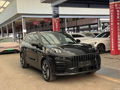 2021 Lynk & Co 09 2.0T Halo 7-seater, фото 3, лот 10315763