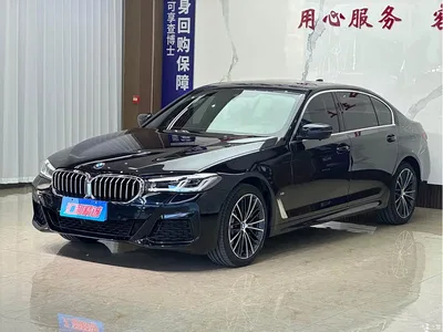 2023 BMW 5 Series 530Li Leading M Sport Package, фото 1, лот 11228651