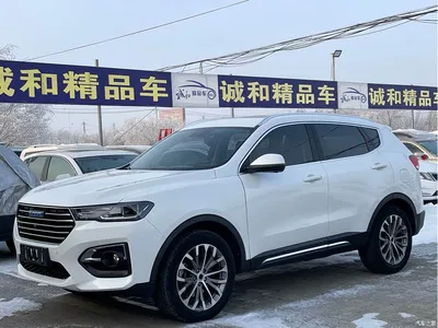 2018 Haval H6 Blue Label 1.5T Automatic Luxury, фото 1, лот 10282903