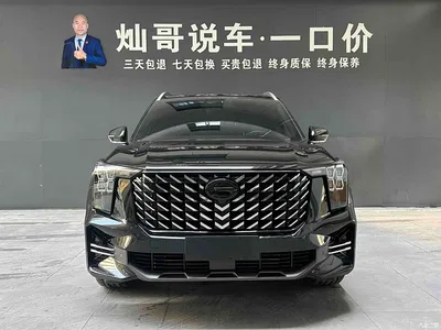 2025 GAC Trumpchi Trumpchi GS8 Pilot Series 2.0TGDI 2WD Luxury Edition 5-seater, фото 2, лот 10414436