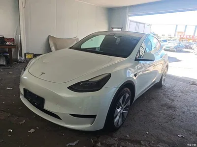 2022 Tesla Model Y Rear-Wheel Drive Version, фото 1, лот 11545807