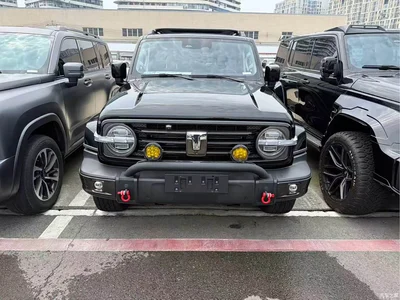 2021 Tank 300 Urban Edition 2.0T Stylish, фото 2, лот 11188299