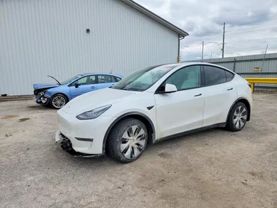 2021 TESLA MODEL Y, фото 1, лот 11559217