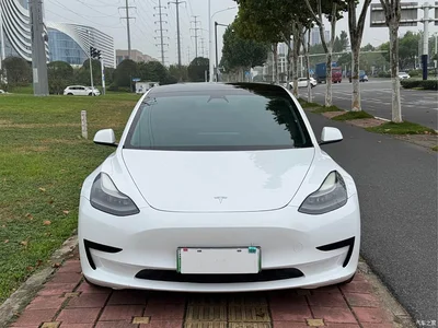 2021 Tesla Model 3 Standard Range Rear-Wheel Drive Upgrade, фото 2, лот 11095912