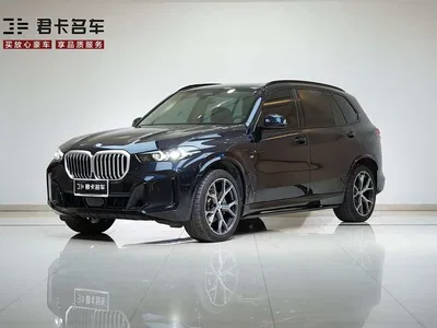 2026 BMW X5 xDrive 30Li Luxury M Sport Night Edition Package, фото 2, лот 10239108