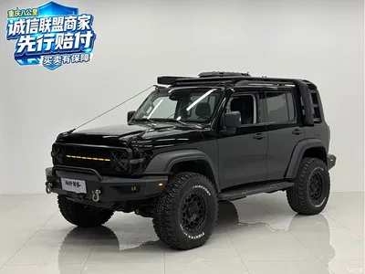 2021 Tank 300 Off-road Version 2.0T Conqueror, фото 1, лот 10344543