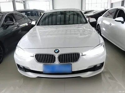 2018 BMW 3 Series 320Li Fashion Style, фото 3, лот 10457785