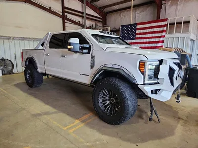 2019 FORD F250 SUPER DUTY, фото 4, лот 10533937