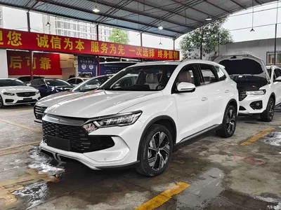 2023 BYD Song Pro New Energy Champion Edition DM-i 110KM Excellence, фото 1, лот 10272954