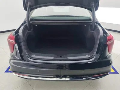 2025 Hongqi H5 1.5T DCT Flag Rhythm 500,000 Units Memorial Edition, фото 4, лот 10902745