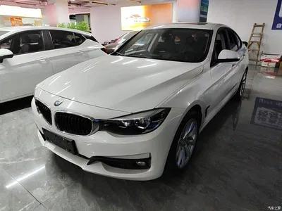 2019 BMW 3 Series GT 320i Fashion Model, фото 1, лот 10473707