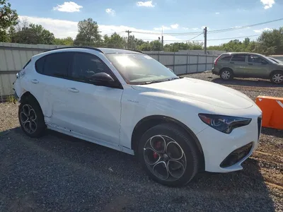 2024 ALFA ROMEO STELVIO TI, фото 4, лот 10881979