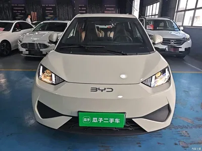 2025 BYD Seagull Smart Drive Edition 305km Vitality Version, фото 3, лот 10262834
