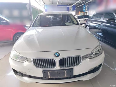 2018 BMW 3 Series 320Li Fashion Style, фото 3, лот 10457491