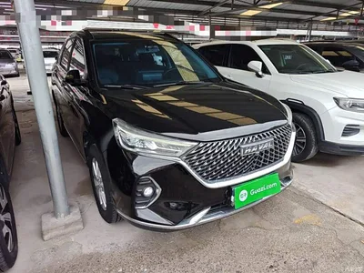 2021 Haval M6 PLUS 1.5T DCT Luxury Smart Connect, фото 4, лот 10284413