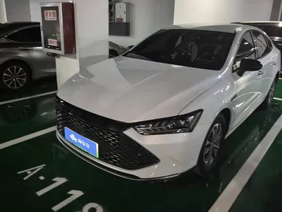 2024 BYD Qin PLUS Glory Edition DM-i 55KM Leading, фото 2, лот 10616378