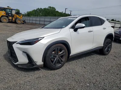 2025 LEXUS NX 450H+ BASE, фото 1, лот 10899948