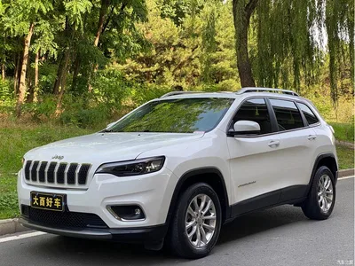 2019 Jeep Cherokee 2.0T 2WD Smart Edition China V, фото 1, лот 10359925