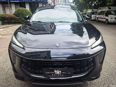 2021 Dongfeng Fengxing T5 EVO 1.5TD DCT Diamond Edition, фото 2, лот 11161063