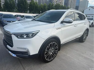 2018 Leopaard Mattu 1.6T GDI DCT Premium Edition, фото 2, лот 11646026