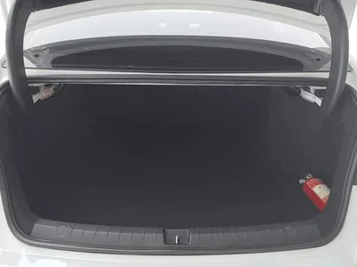 2020 BYD Qin Pro Surpass Edition 1.5TI Automatic Premium, фото 4, лот 10957903