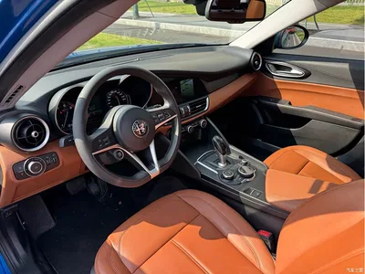 2017 Alfa Romeo Giulia 2.0T 200HP Luxury Edition, фото 4, лот 10240314