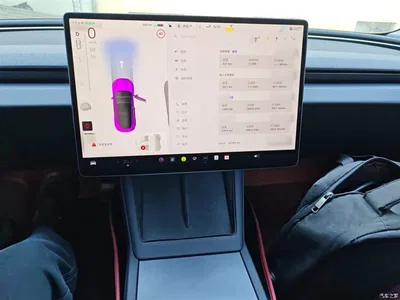 2023 Tesla Model 3 Rear-Wheel Drive, фото 4, лот 10375368