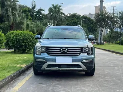2017 GAC Trumpchi Trumpchi GS8 320T 2WD Luxury Smart Connect (7-seater), фото 3, лот 10476239