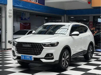 2023 Haval H6 National Trend Edition 1.5T Automatic Champion, фото 1, лот 10300917