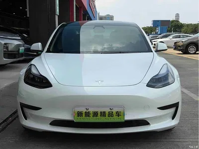 2021 Tesla Model 3 Standard Range Rear-Wheel Drive Upgrade 3D6, фото 3, лот 11570225