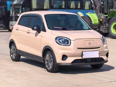2022 Leapmotor T03 Special Edition, фото 3, лот 10666527