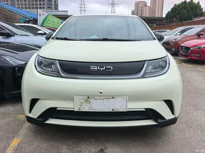 2024 BYD Dolphin Glory Edition 420km Freedom Edition, фото 2, лот 10254453
